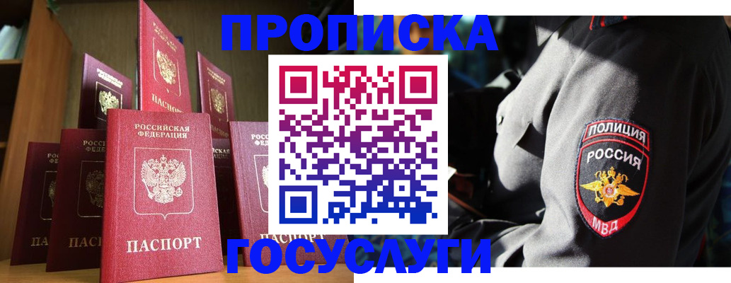 прописка гарантия в Камышине